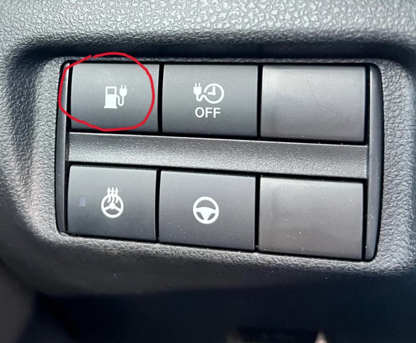 A pic of the Leaf charge button.